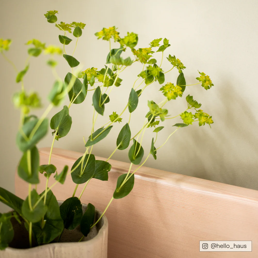 And Breathe - Image 10