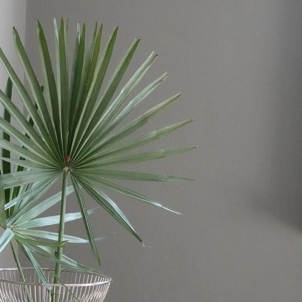 Darlington - Image 13