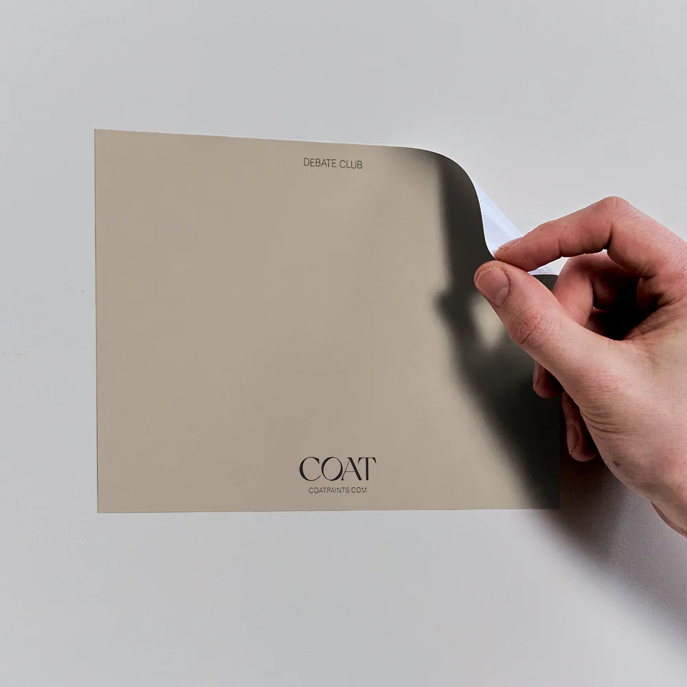 Debate Club - Image 14