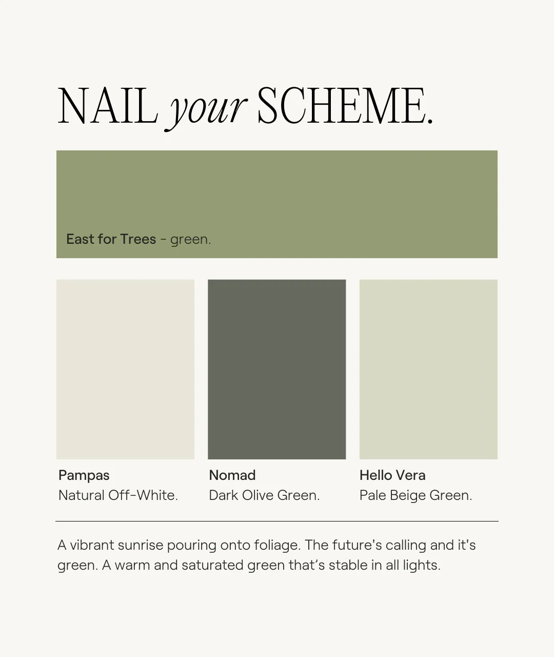 East For Trees - Image 3