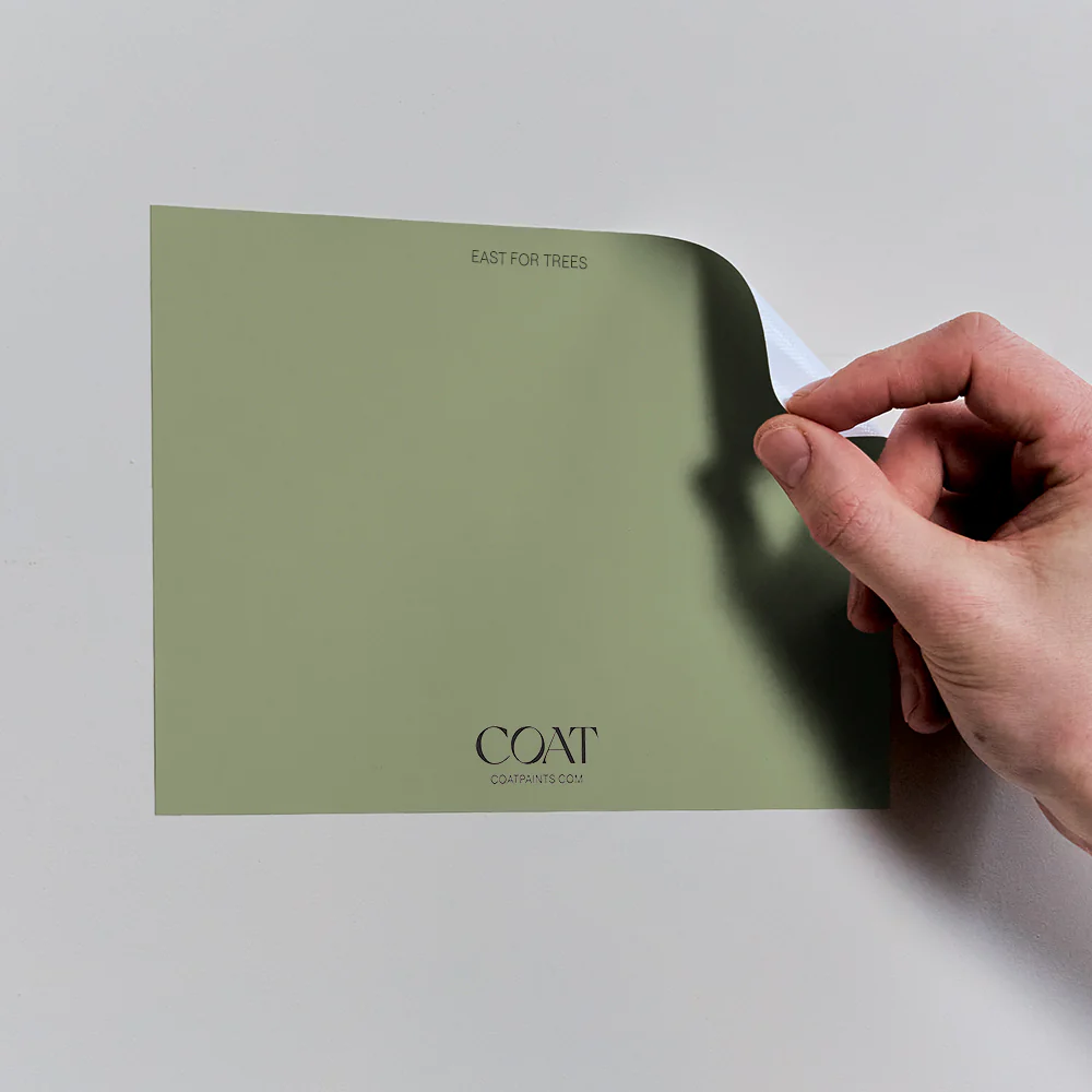 East For Trees - Image 7