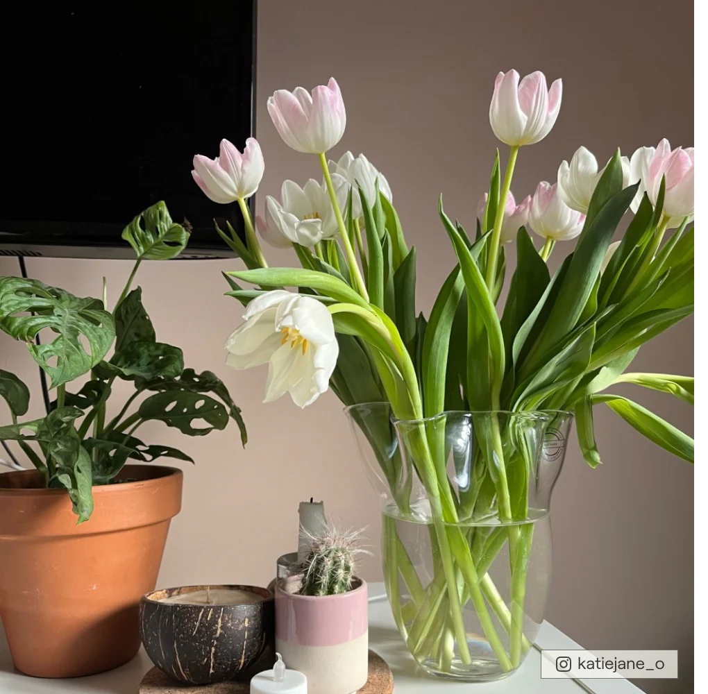 Factor Fifty - Image 8