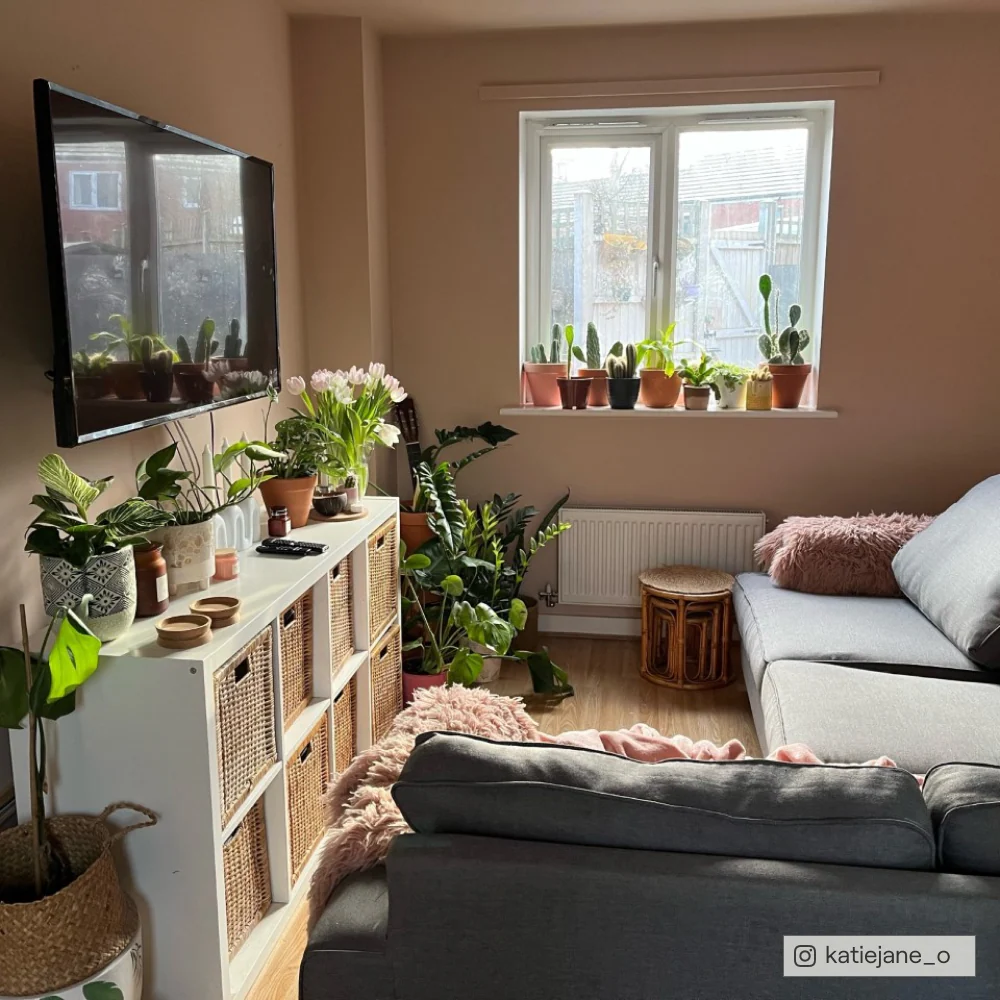 Factor Fifty - Image 9