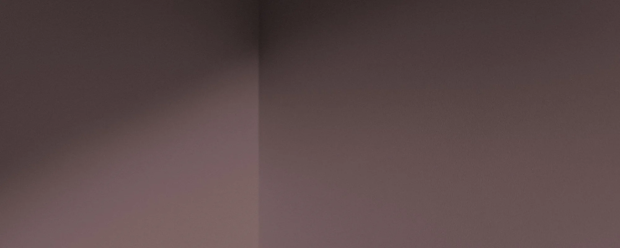 Festival Eve - Image 11