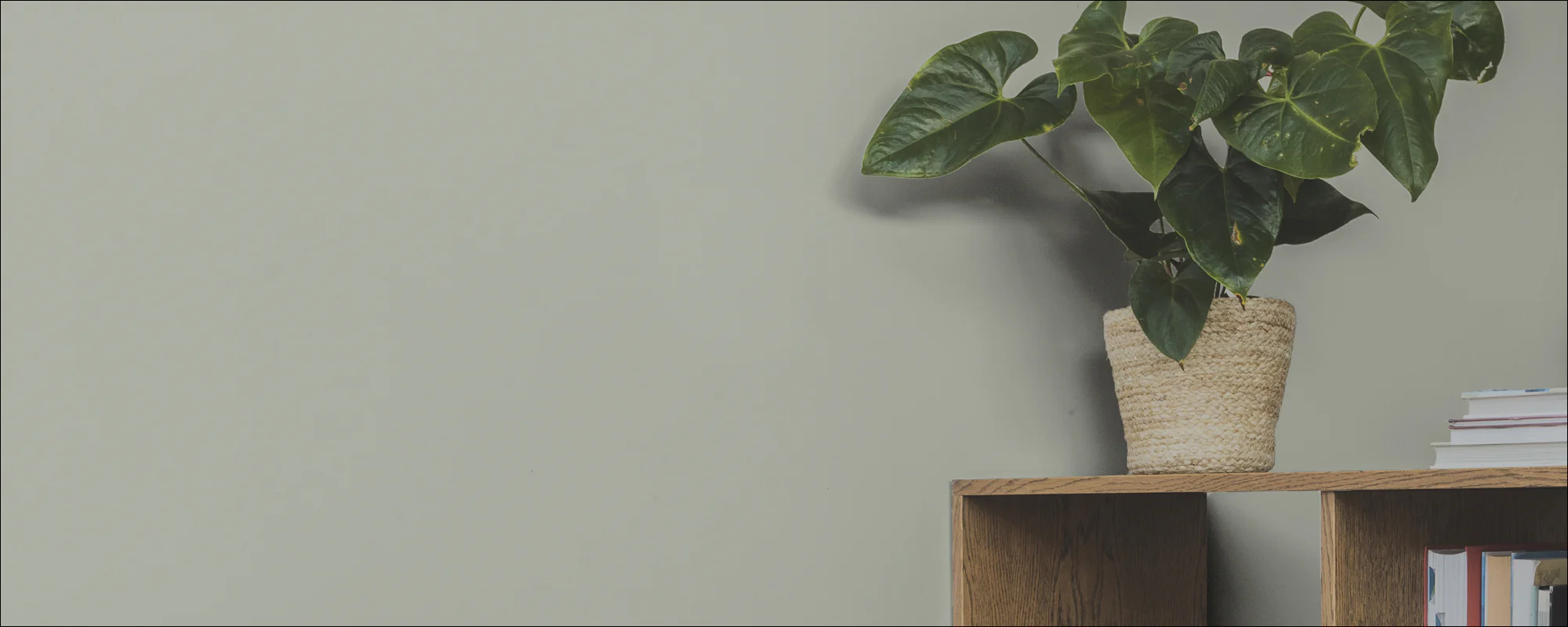 Hello Vera - Image 12