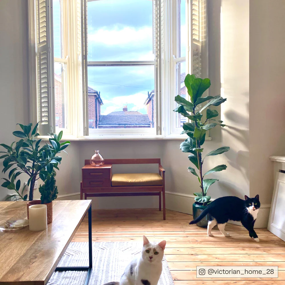 Kind Regards - Image 11