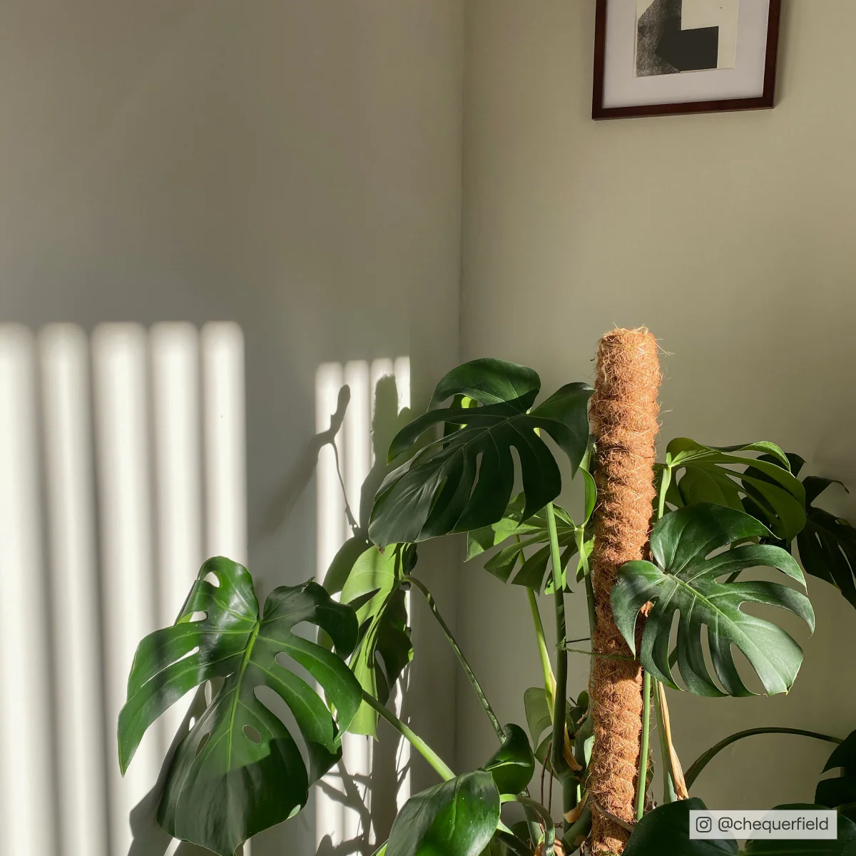 Kind Regards - Image 7