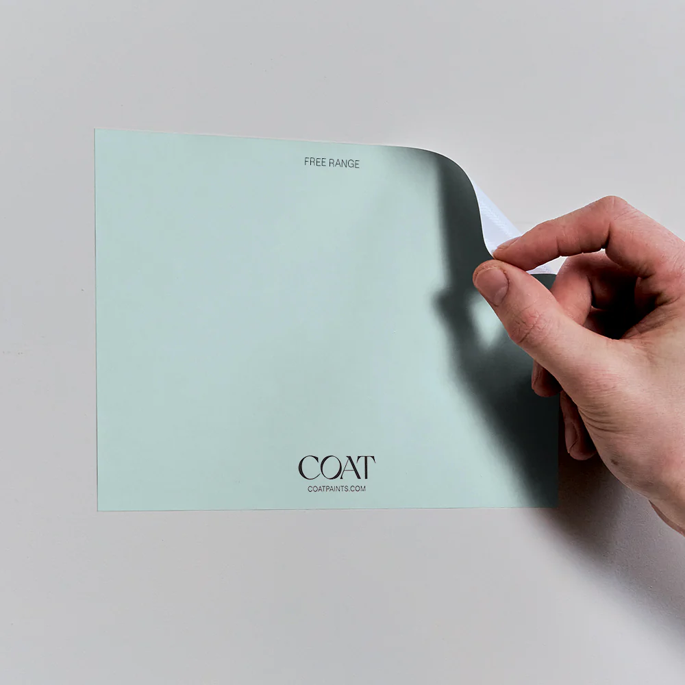 Light Blue Pack - Image 8