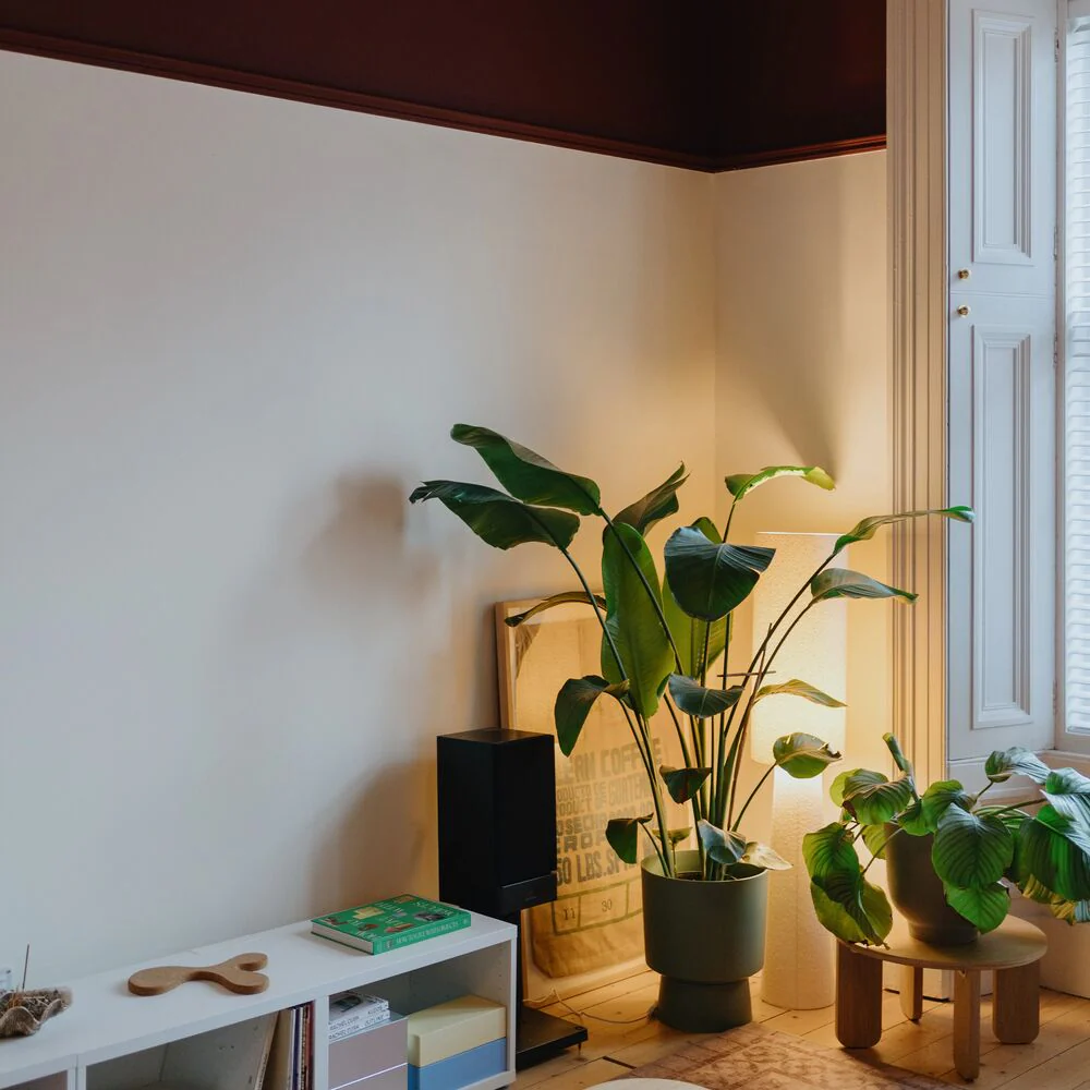 No Offence - Image 3