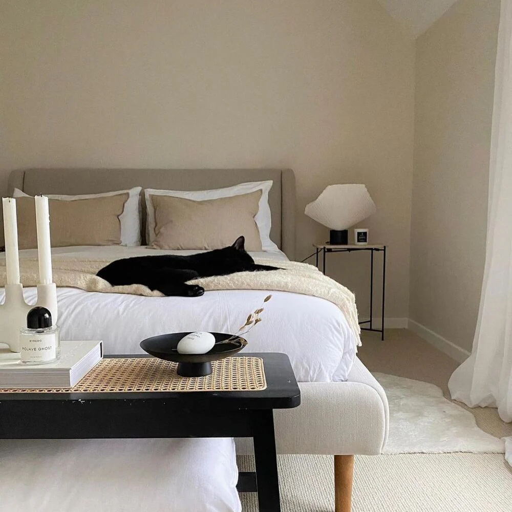 North Facing Neutrals - Image 3