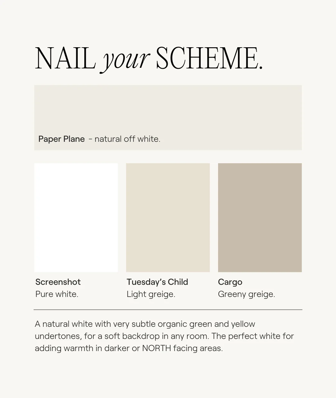 Paper Plane - Image 5