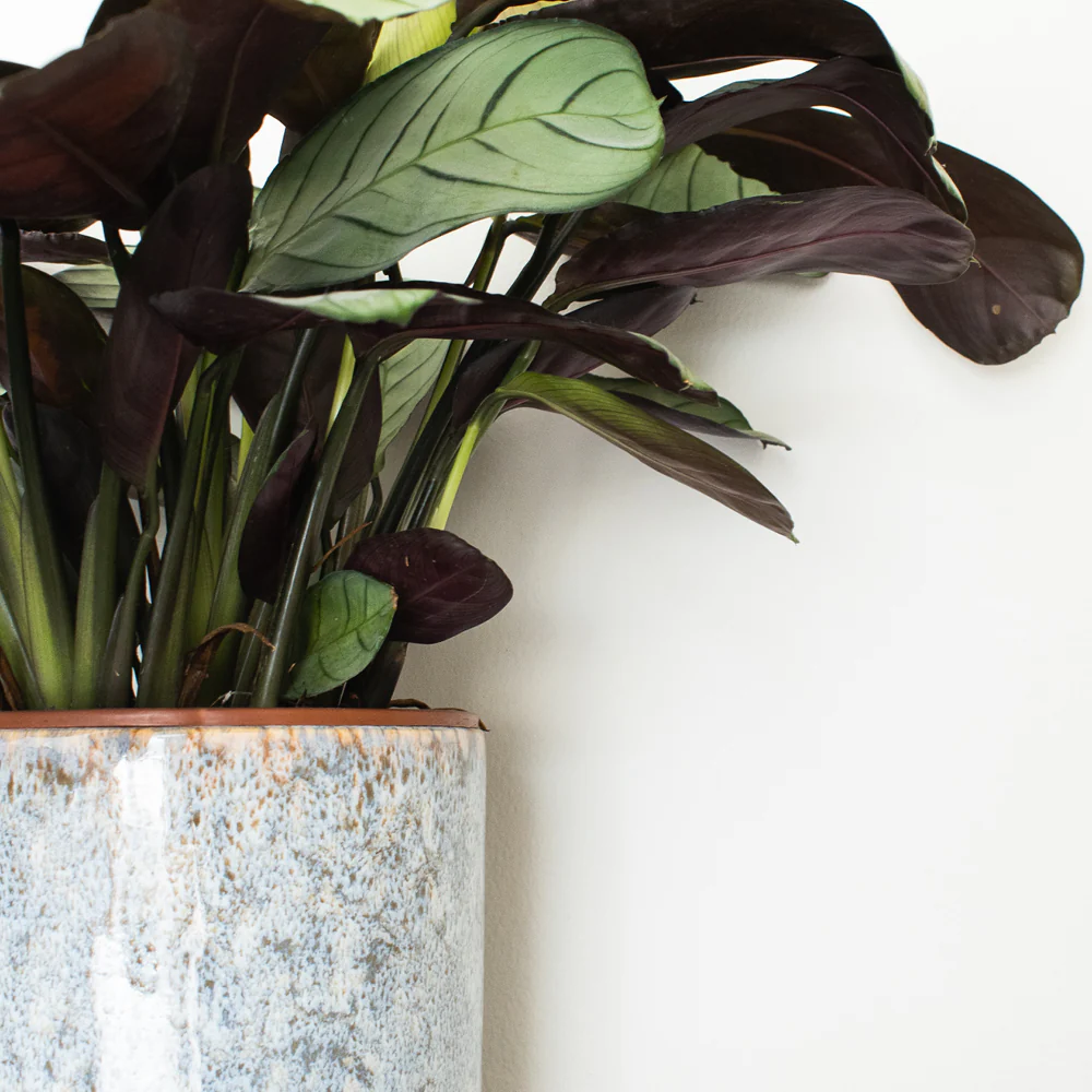 Safe Play - Image 17