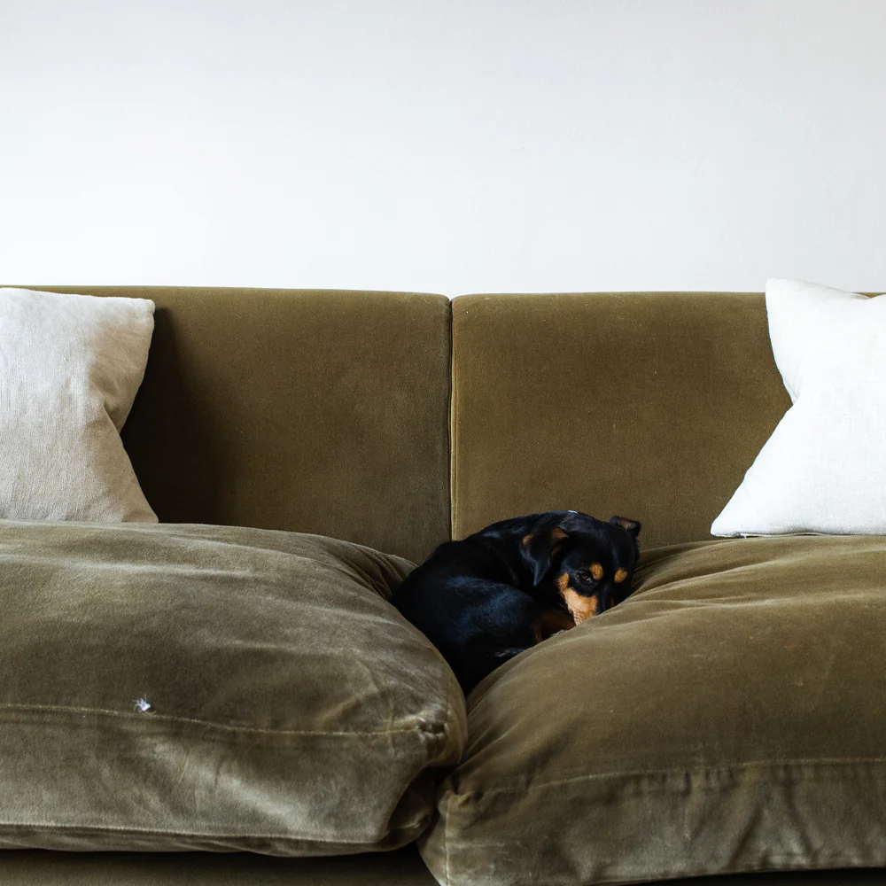 Safe Play - Image 20