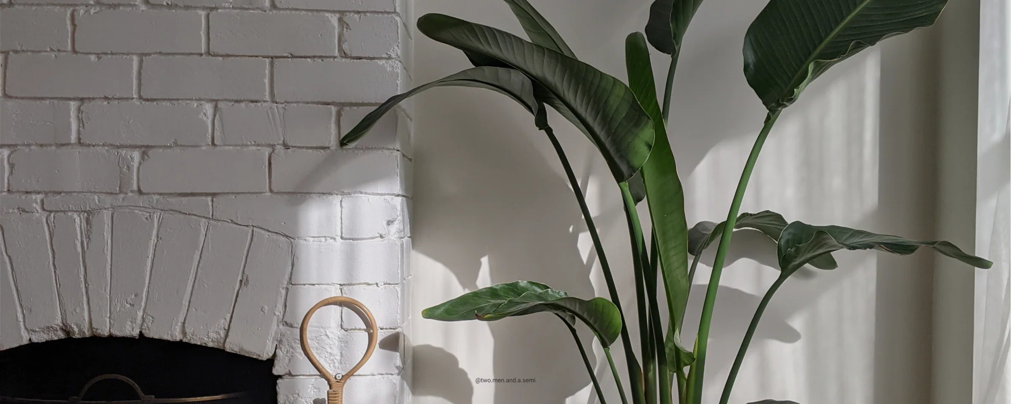 Screenshot - Image 31