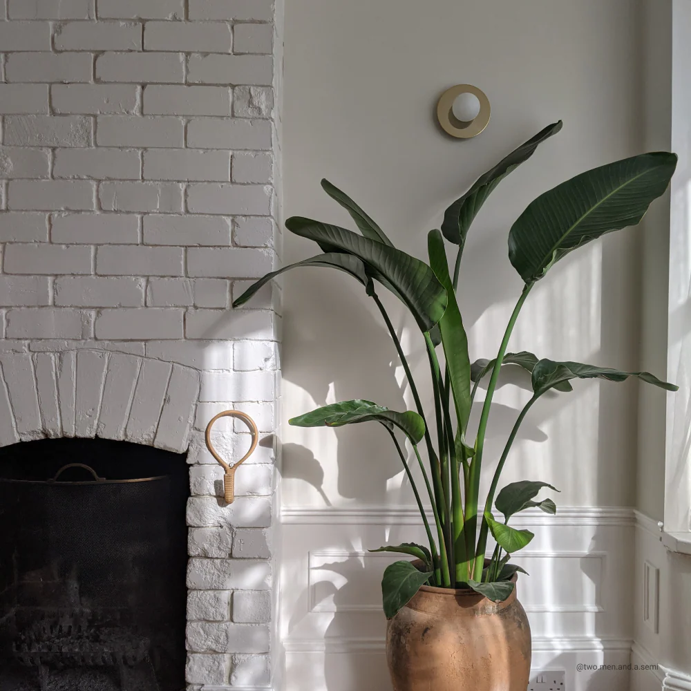 Screenshot - Image 4