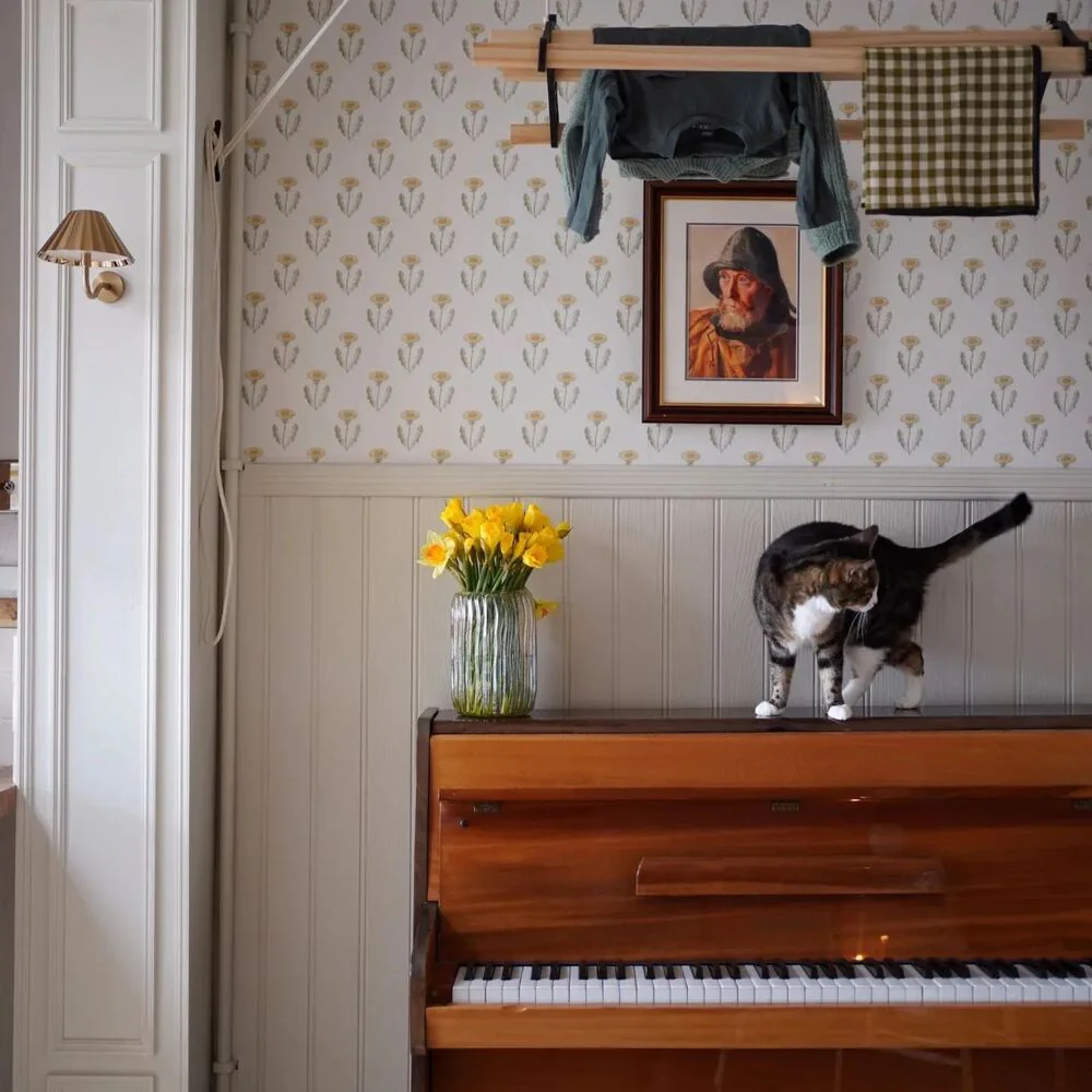 South Facing Neutrals - Image 3