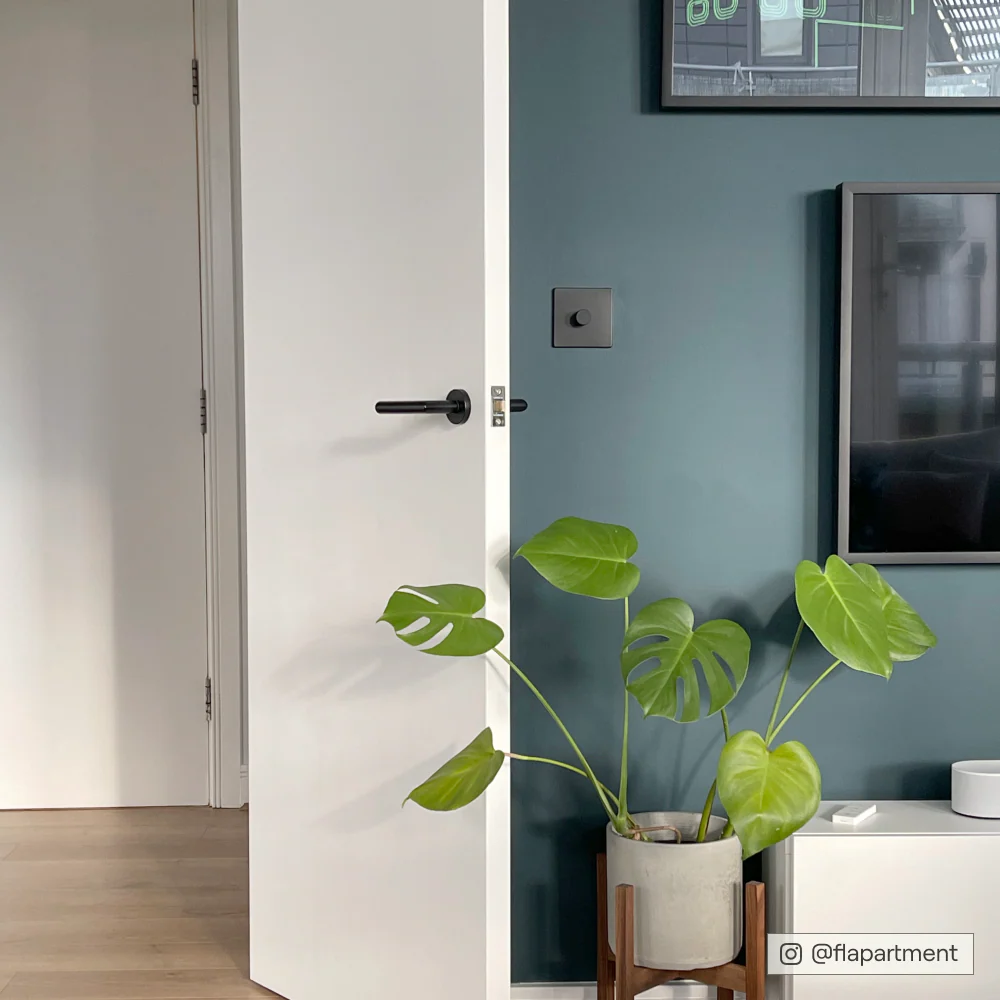 The Drink - Image 12