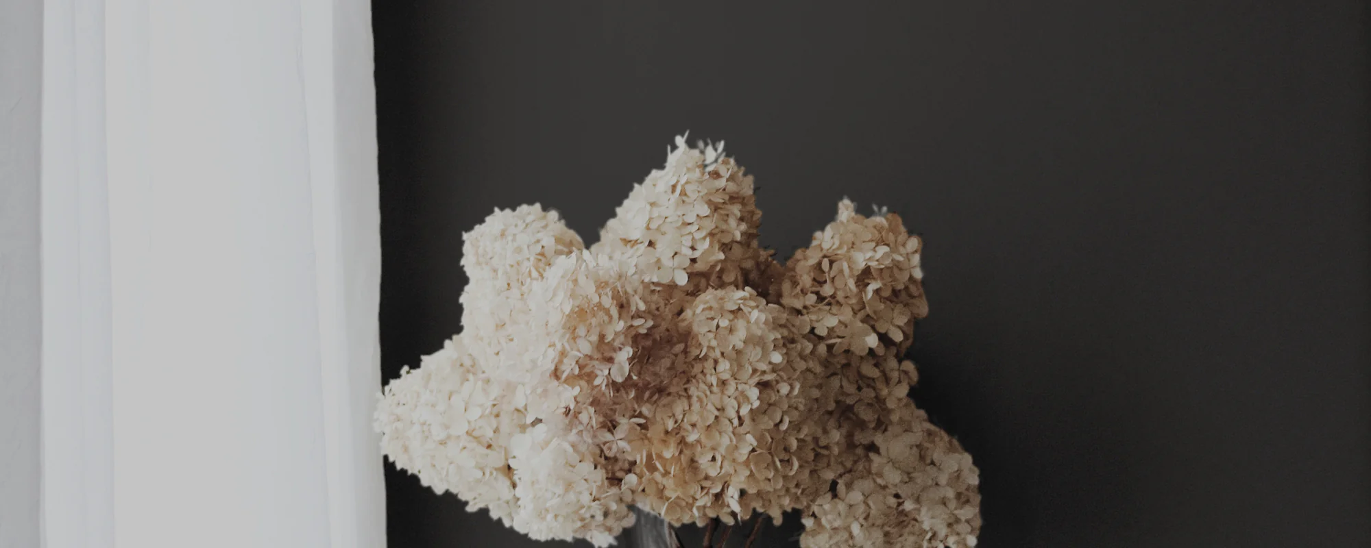 The Record Store - Image 21