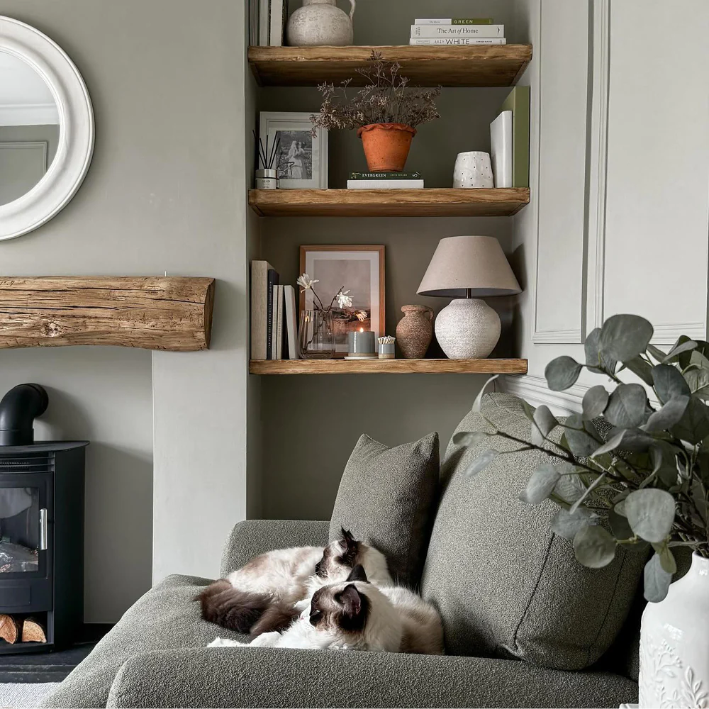 The Trail - Image 20