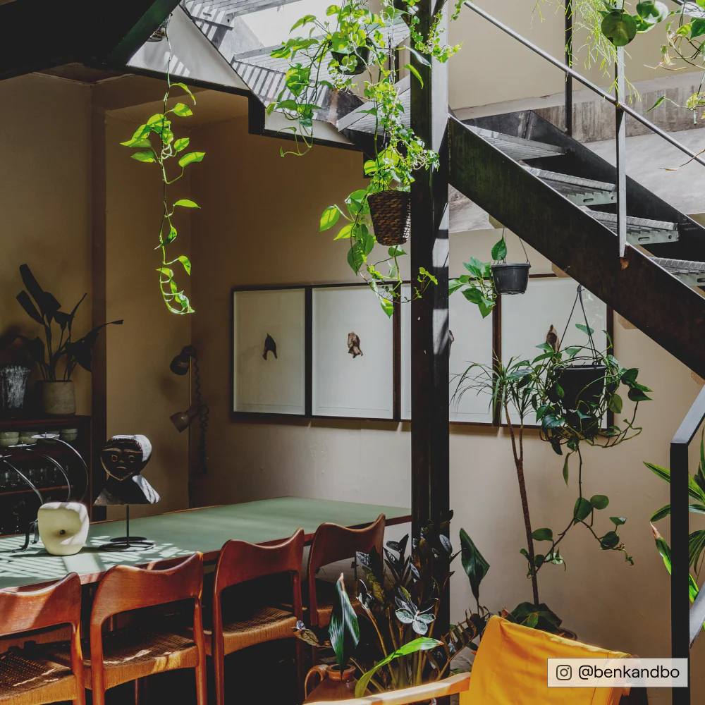 Well Grounded - Image 11