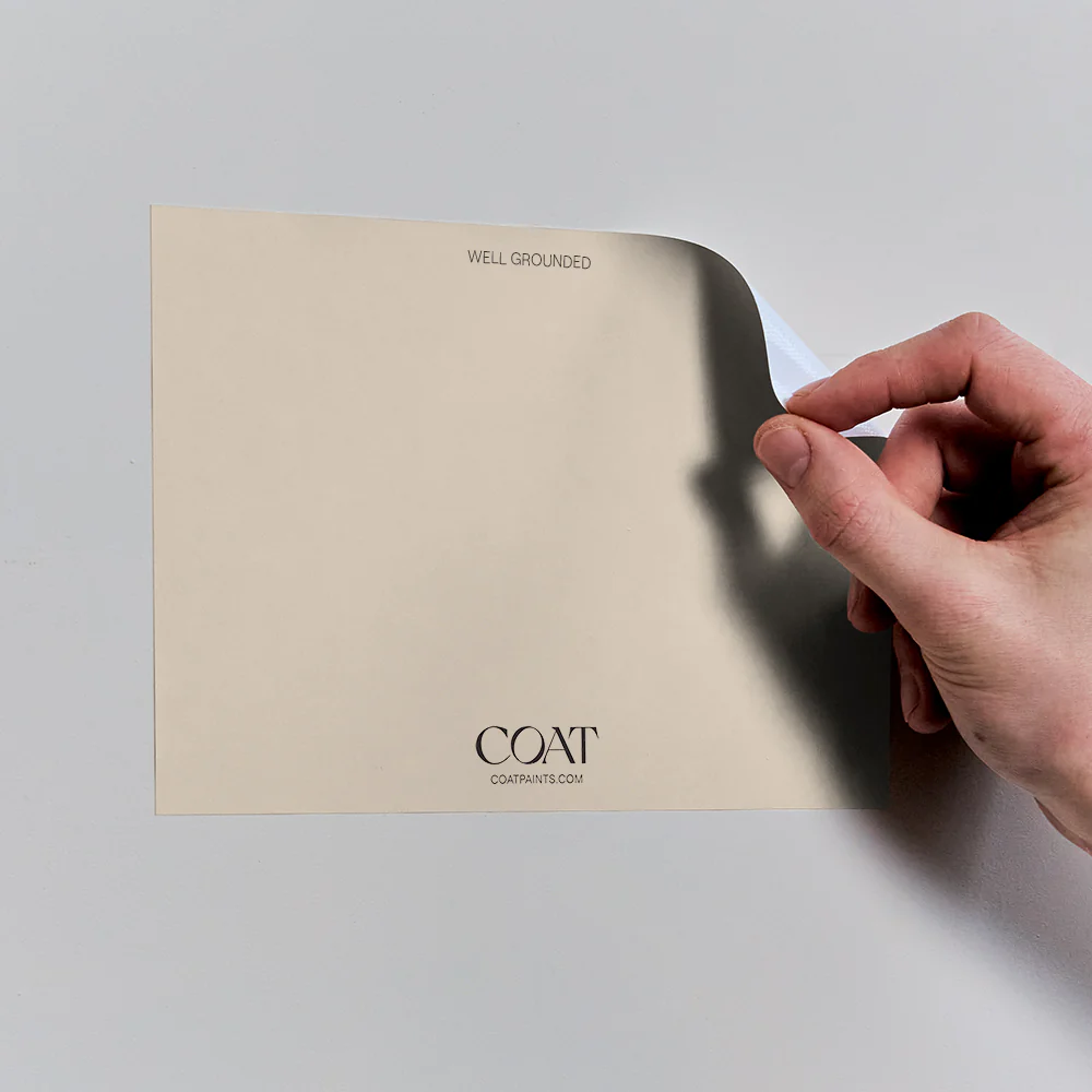 Well Grounded - Image 7